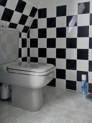 Ducha, secador de pelo y toallas