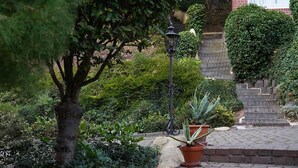 A set of stone steps leading up to a building, surrounded by potted plants and greenery.