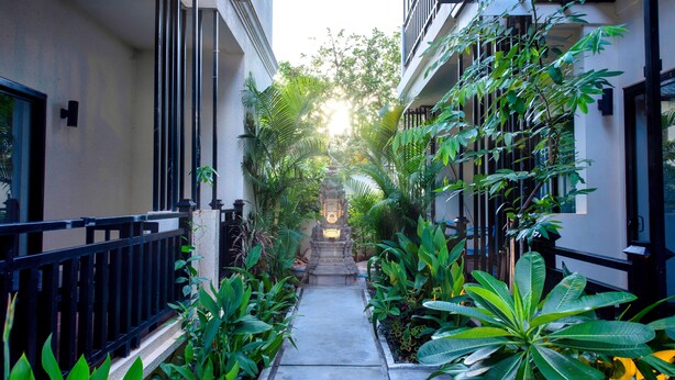 Un étroit sentier bordé d’une végétation luxuriante et de bâtiments dotés de balcons.