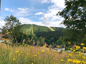 A rural landscape with a mountain, houses, and a field of yellow flowers.