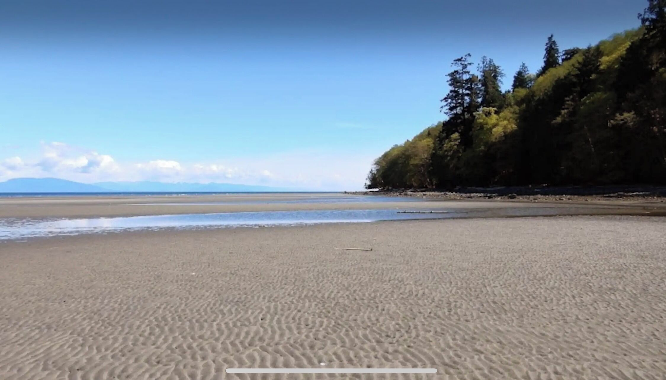 Uma praia com céu claro, águas calmas e área arborizada ao fundo.