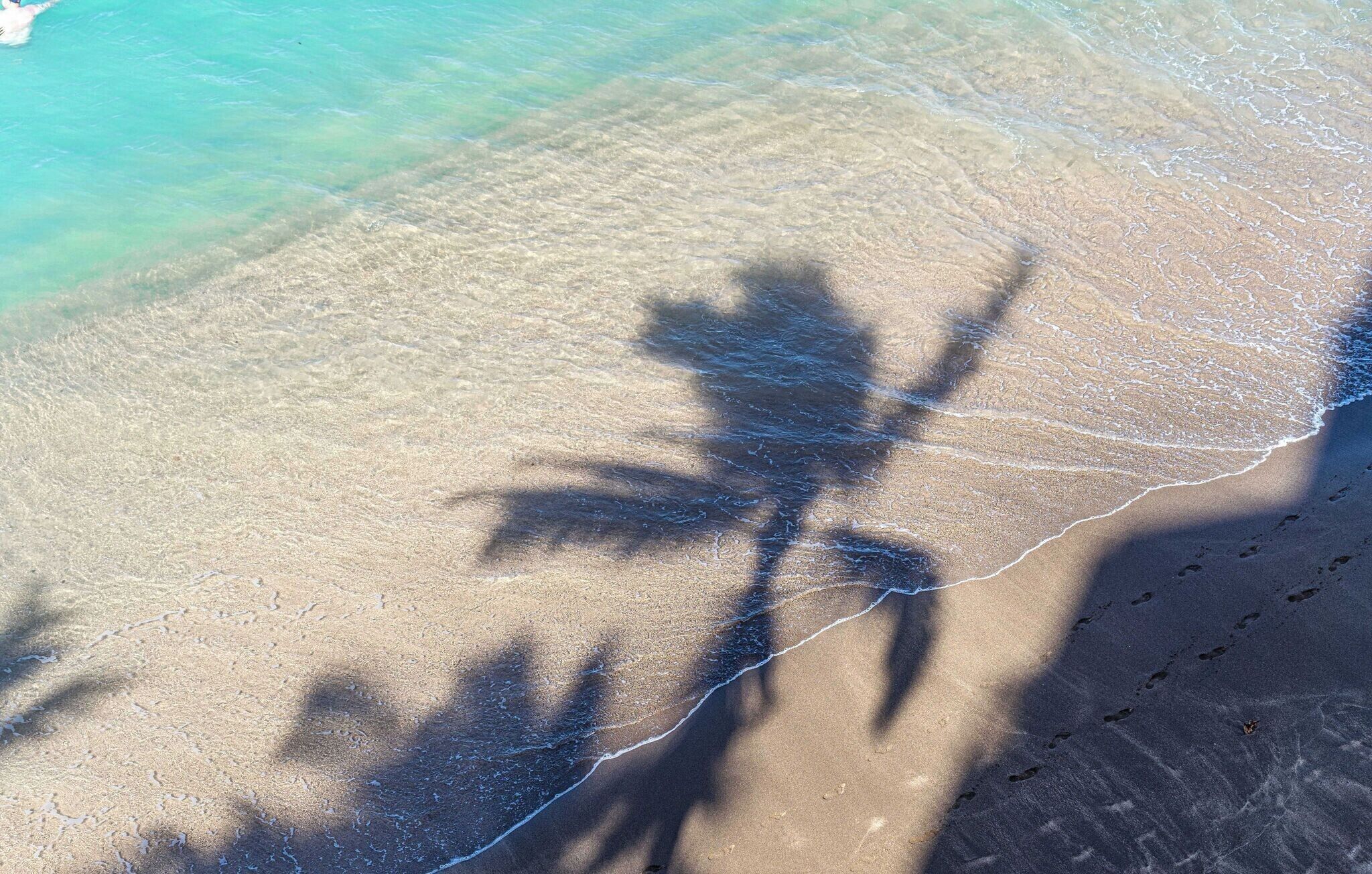 Vue aérienne d’une plage avec une eau cristalline, un rivage sablonneux et les ombres des palmiers.