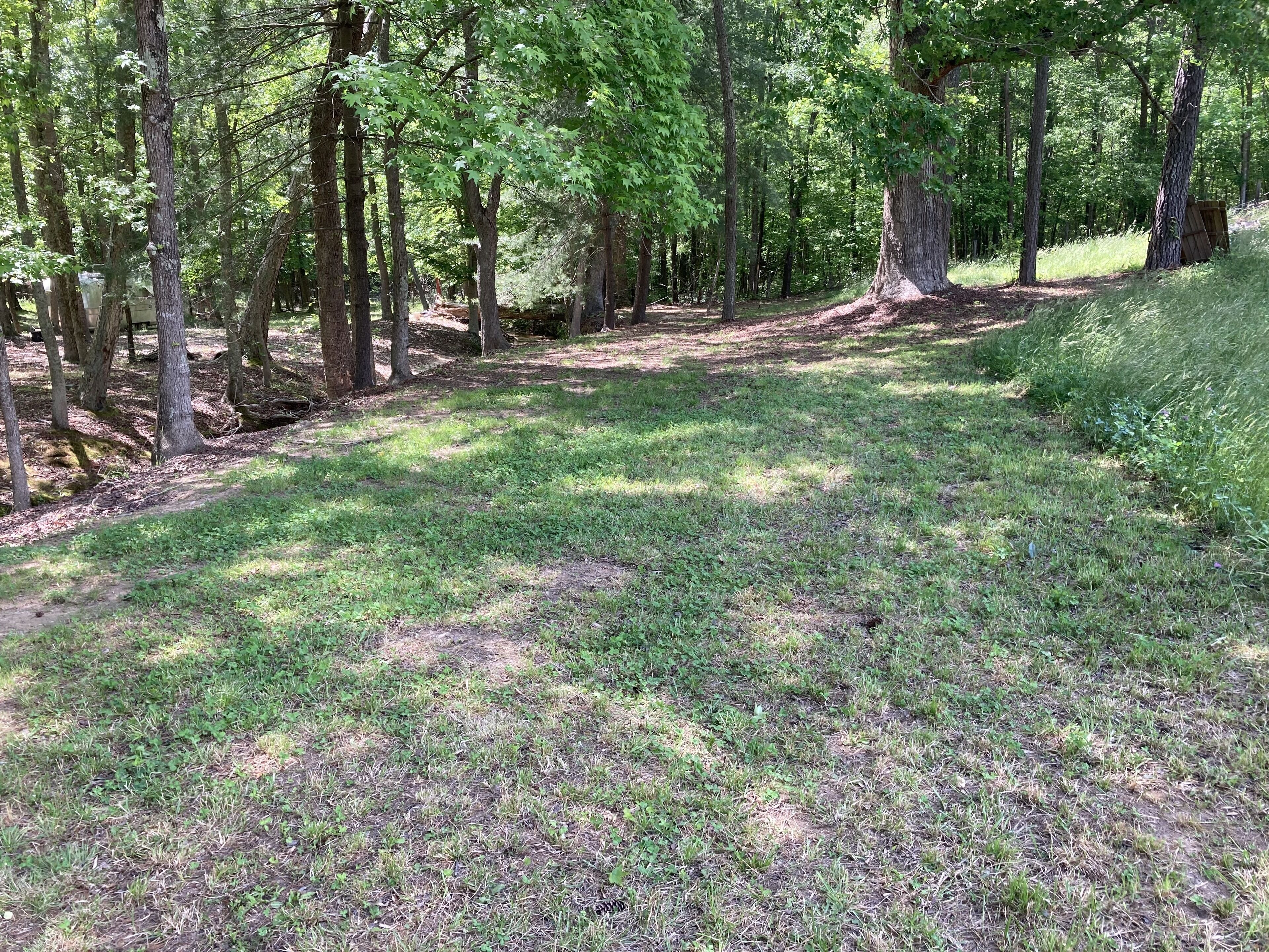 Primitive camping by Neal Creek site #2