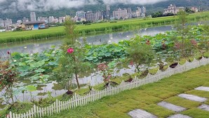 A serene landscape with a pond, lotus flowers, and a white picket fence. - Xian Jing B&B (Jiaoxi)