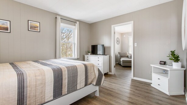 Un dormitorio con cama, cómoda, televisor, silla y planta.