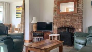 Télévision, cheminée, livres, chaßne hi-fi