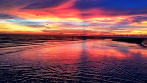A beach scene with a sunset, waves, and birds flying.