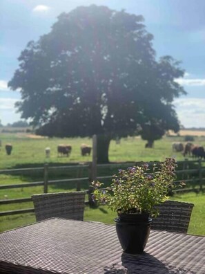 A table with a potted plant in the foreground, a tree in the background, and a grassy field with cows.