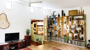 Smart TV, fireplace, DVD player, books