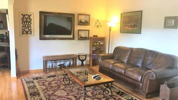 Smart TV, fireplace, books