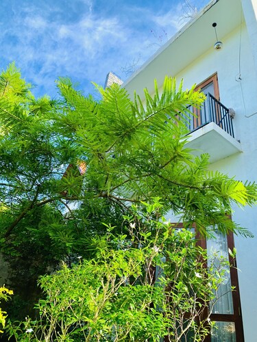 Jungle City Hostel