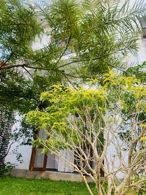 Front of property - Jungle City Hostel (Galle)