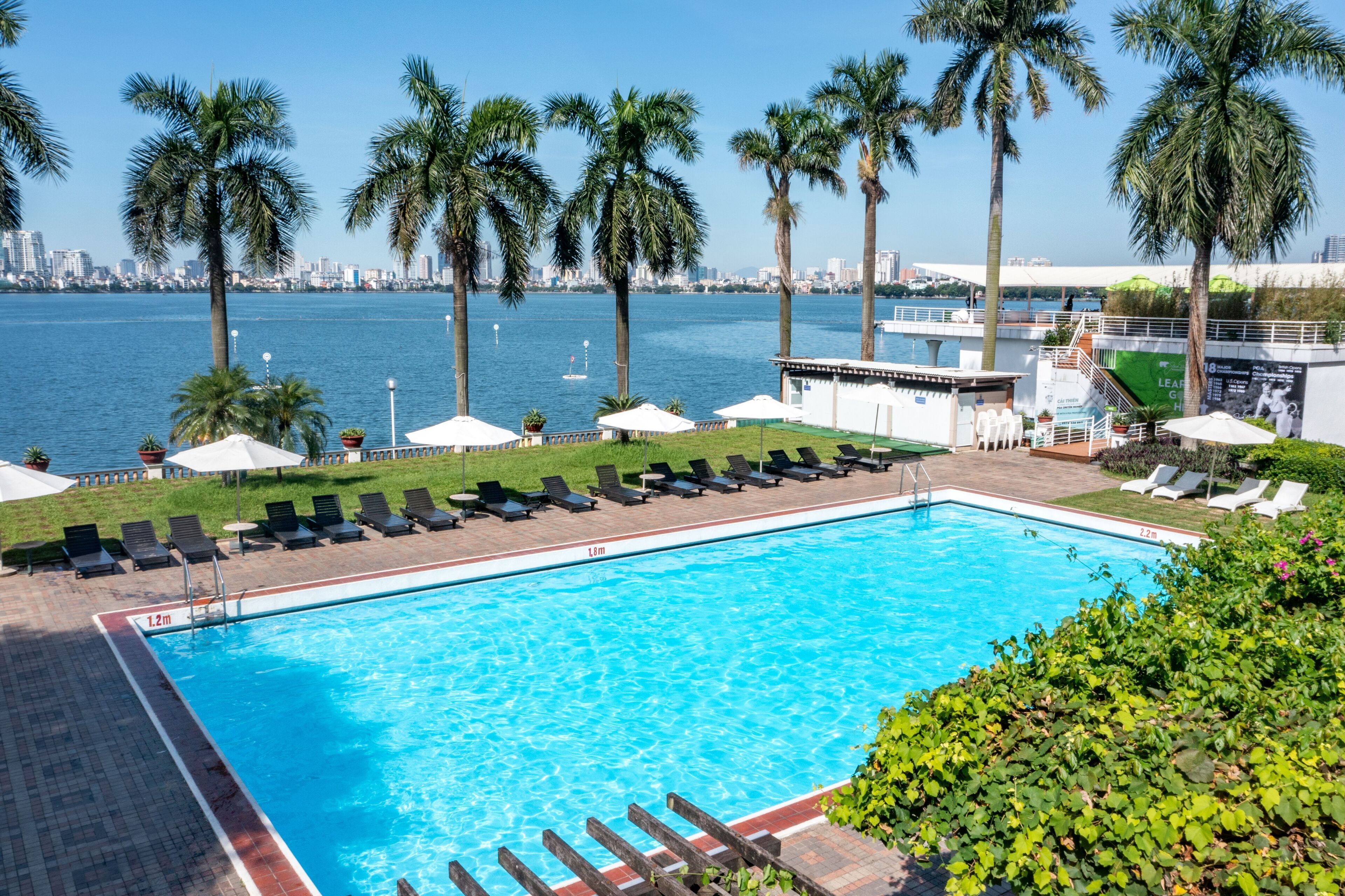 A swimming pool with lounge chairs and umbrellas, surrounded by palm trees and a city skyline in the background.
