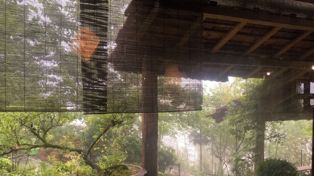 Un espace extérieur abrité, doté d’un chemin en pierre, de plantes en pot et d’une structure en bois.