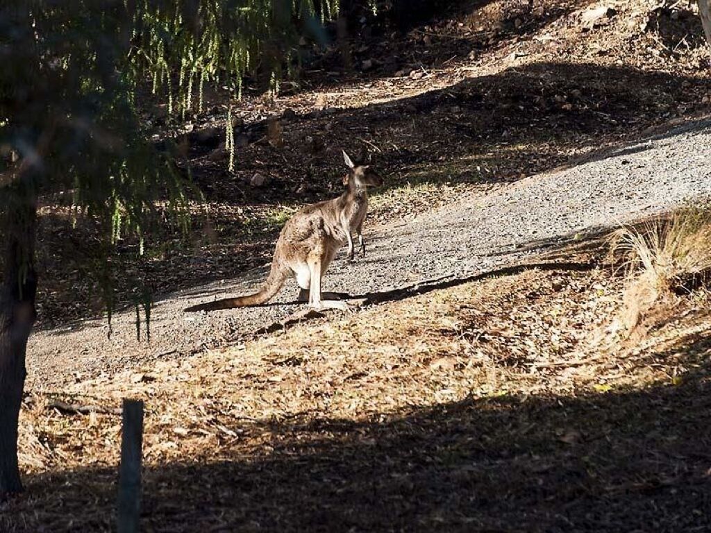 Visitors
