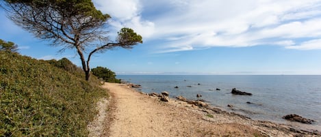 بالقرب من الشاطئ