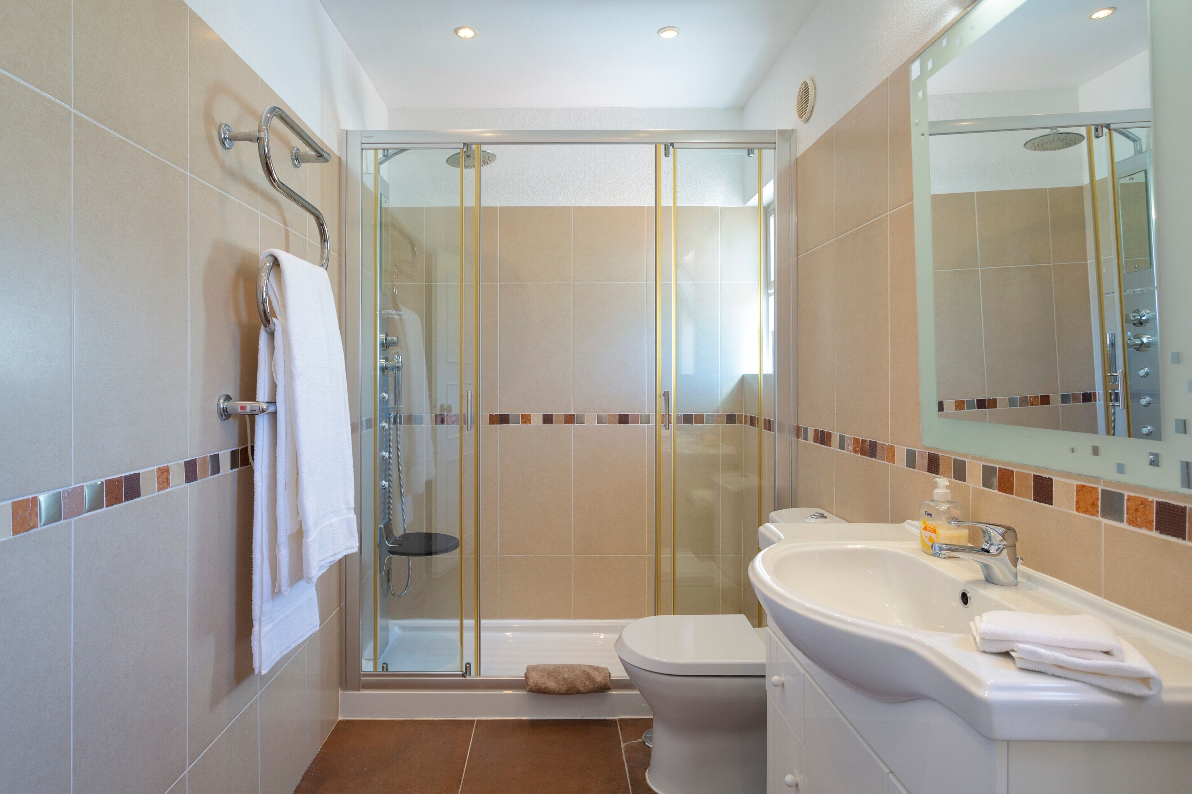 Shower, hair dryer, towels