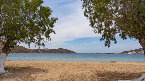 A beach with a clear view of the sea, a sandy shore, and a tree in the foreground.