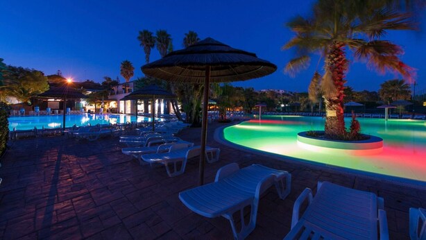 A pool area with lounge chairs, a palm tree, and a gazebo.