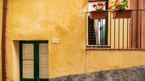 Un edificio amarillo con una puerta verde, una ventana con barandilla metálica y una maceta con flores rojas.