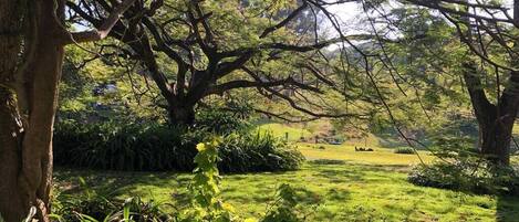 Terrain de lâhĂ©bergement