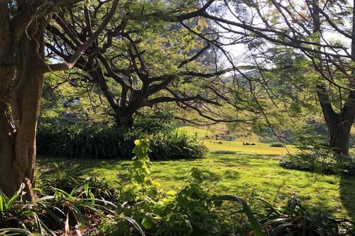 The Bunkhouse- Byron Hinterland retreat