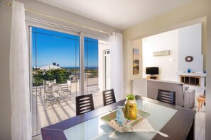 TV, fireplace, video library