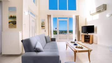 TV, fireplace, video library