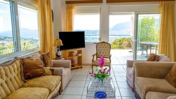 TV, fireplace, video library