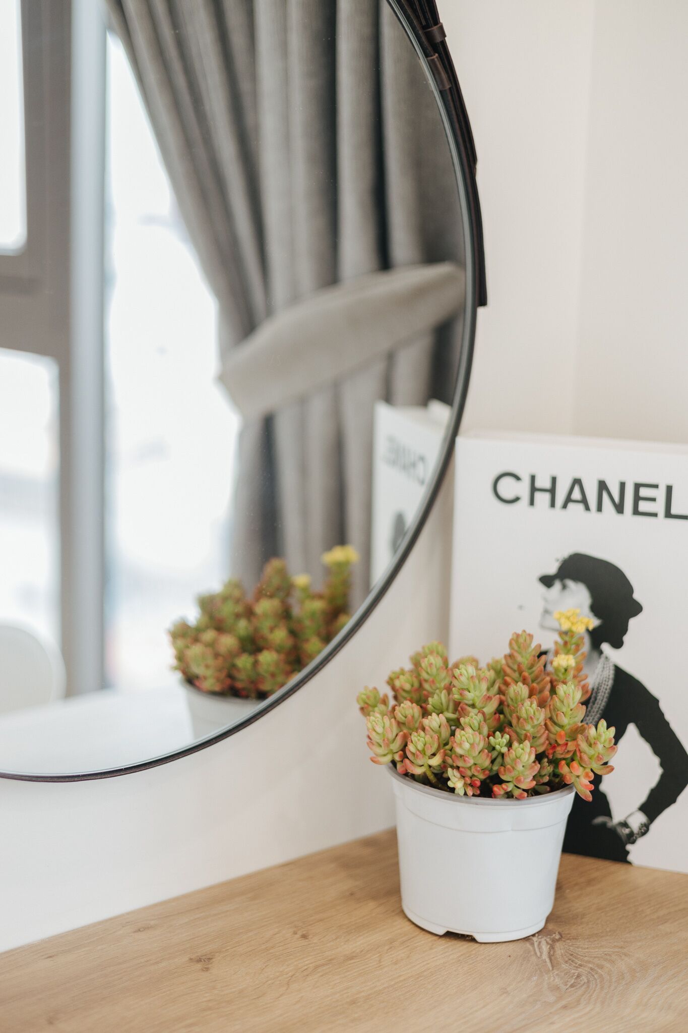 A potted succulent on a wooden table with a mirror reflecting a window and curtains. A framed picture with the word "CHANEL" is visible in the background.