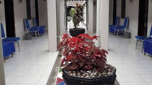 A corridor with blue chairs, a central potted plant, and tiled flooring. - EXPRESS O 91176 Hotel Puri Gandaria (Parepare)