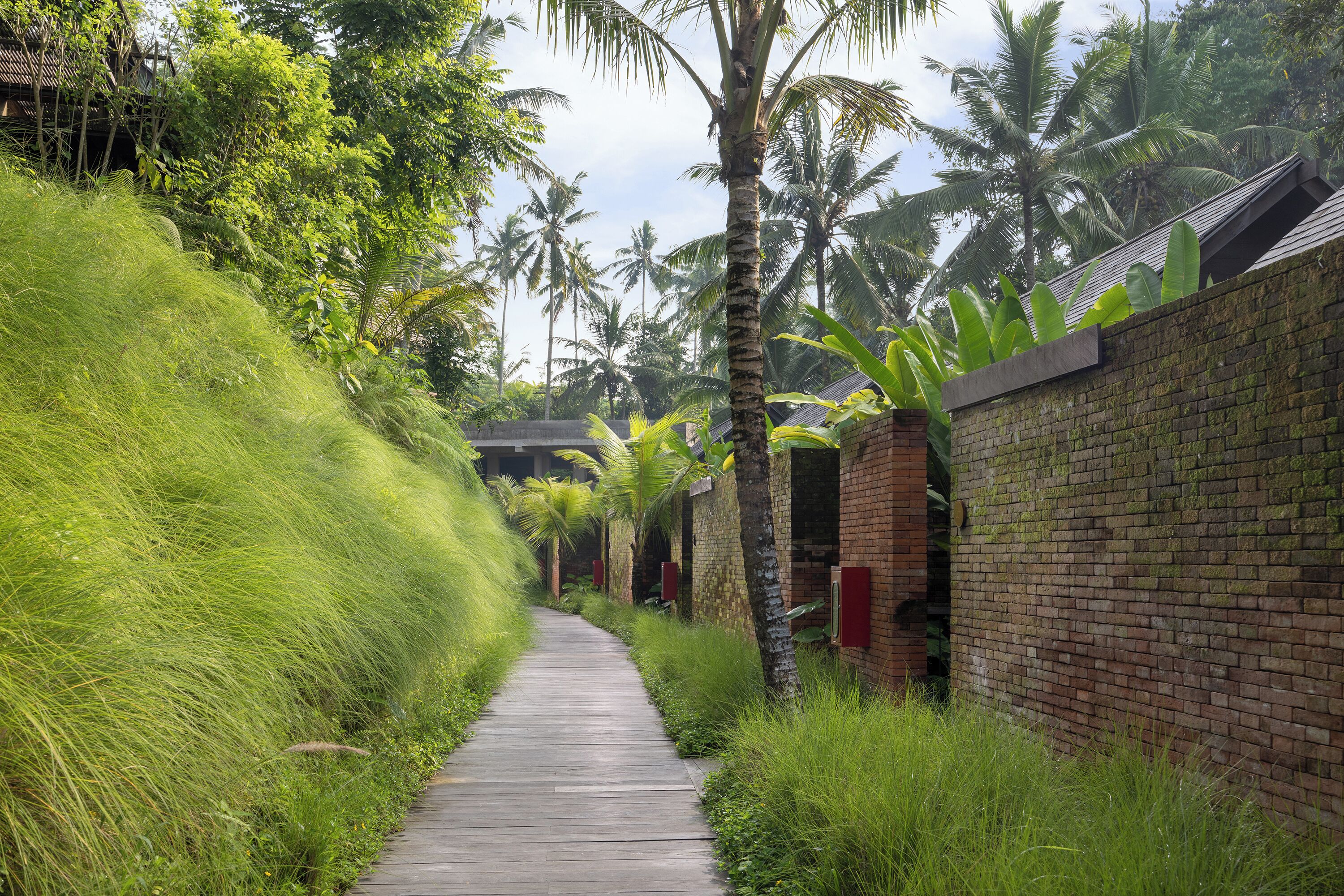 A narrow pathway flanked by lush greenery and brick walls, leading to a building with a sloped roof.