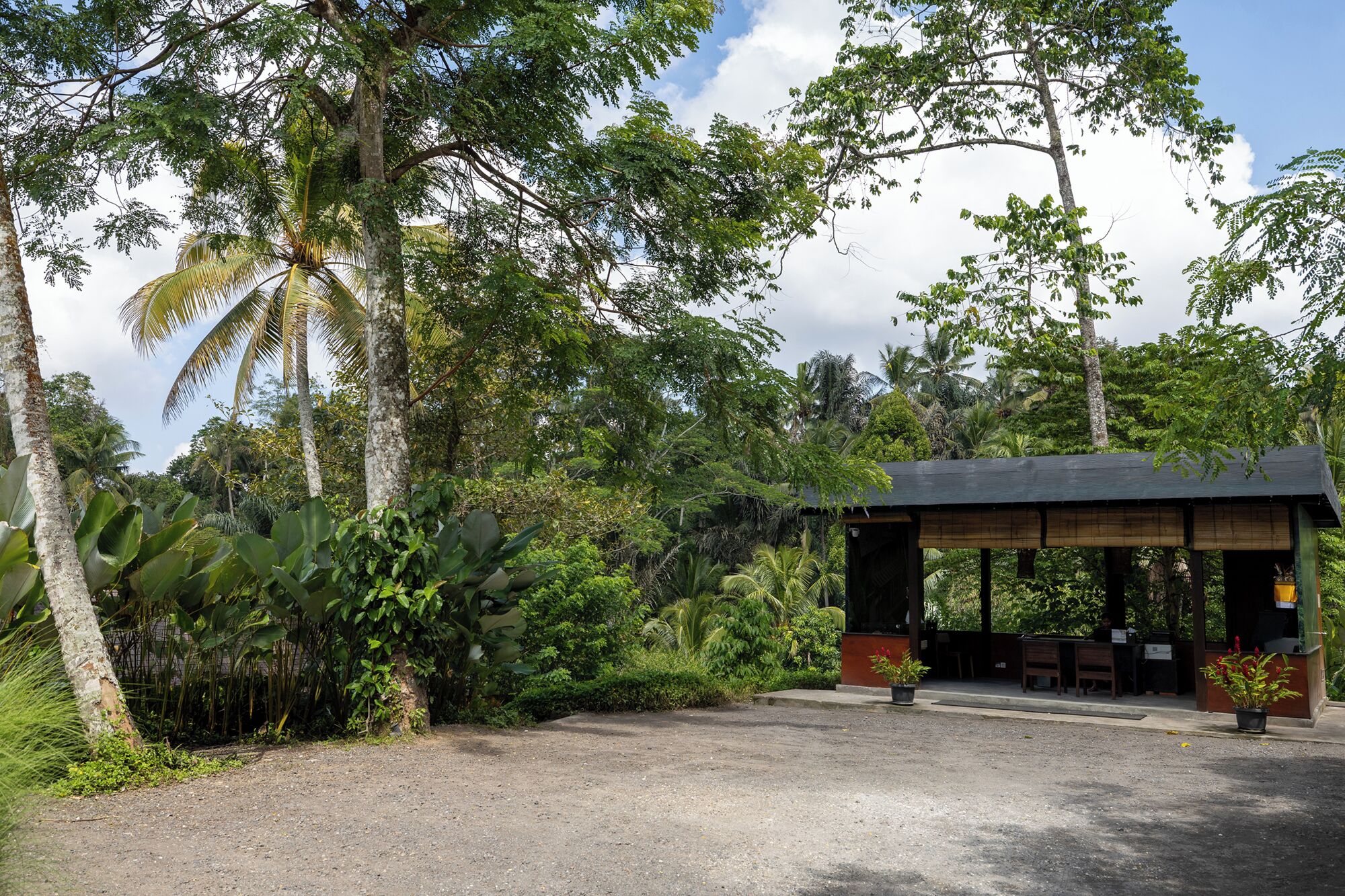 A covered outdoor seating area with a dirt ground, surrounded by dense tropical vegetation and trees.