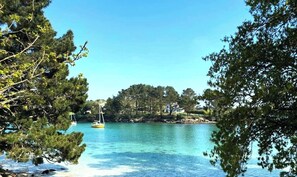 A tranquil lake with clear water, surrounded by dense trees and a small island with a house.