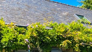 Een stenen gebouw met een grijze deur, een klein raam, en een tuin met paarse bloemen.