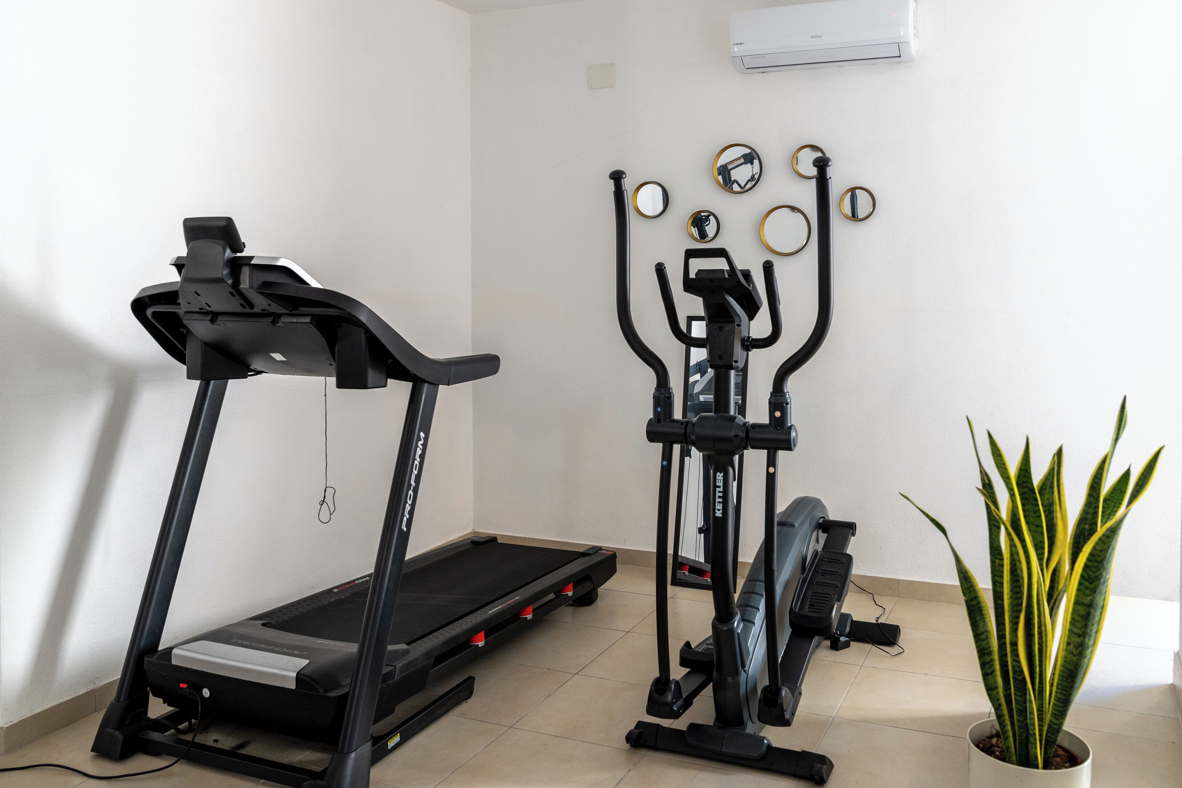 Una palestra domestica con tapis roulant, ellittica e una pianta in vaso.