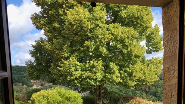 A stone wall with a view of a tree and a stone bench.
