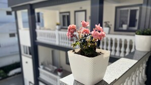 A potted plant with pink flowers on a balcony railing. - VILA AARON (Durrës)