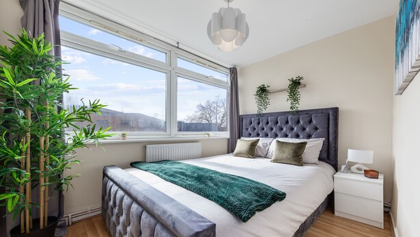 A modern bedroom with a large bed, a potted plant, a window with a view, and a bedside table with a lamp.