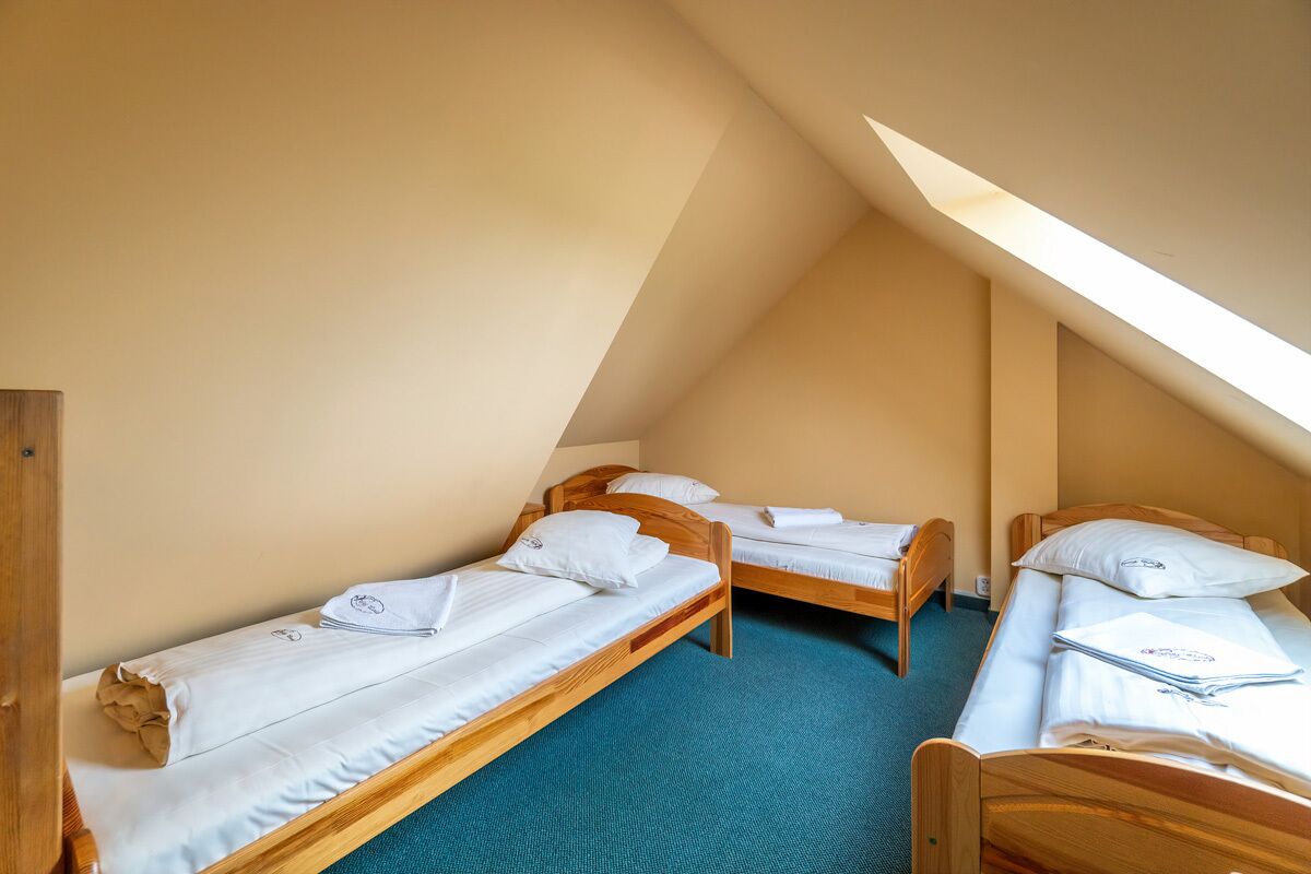 Cudowna Willa z fenomenalnym widokiem na Tatry, w spokojnej okolicy!