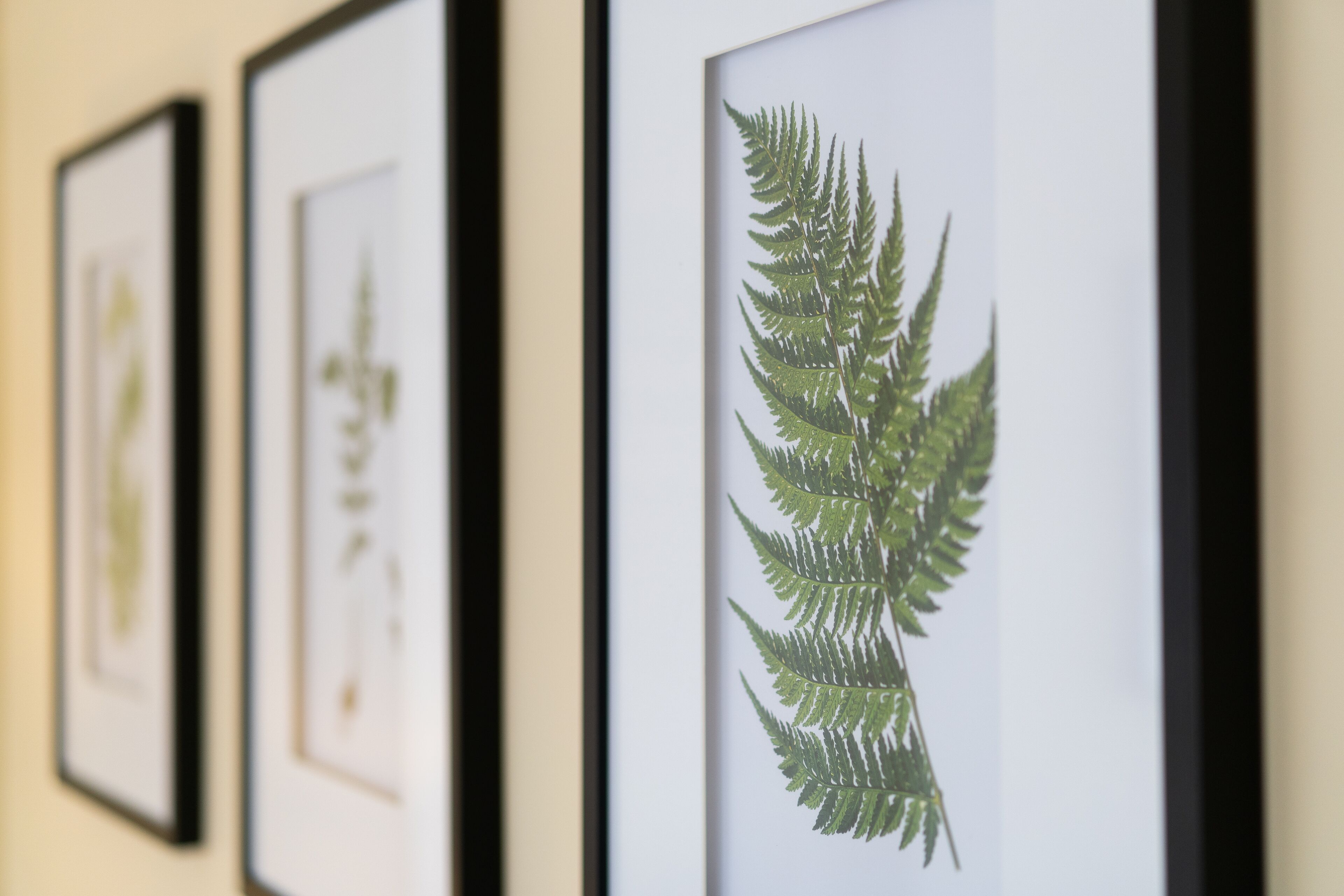 Deluxe Double Room | Premium bedding, individually decorated, individually furnished