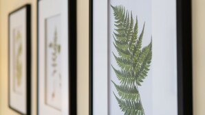 Uklassifisert bilde, 5 av 16, knapp