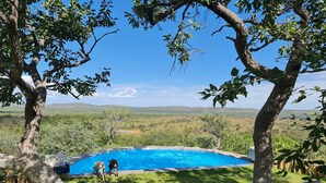 A backyard with a swimming pool, two dogs, and a view of a hilly landscape. - Mountain Peak Game Lodge Namibia (Outjo)