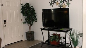 Ein Zimmer mit Tür, einem Blumentopf, einem Flachbildfernseher auf einem Schrank und einer Wanddekoration.