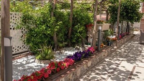 Un giardino con un pergolato, diverse piante e un sentiero.