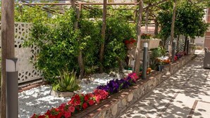 Un giardino con una pergola, diverse piante e un vialetto.