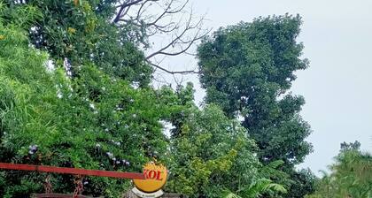 COLIBRI TAVERNE & GUESTHOUSE.