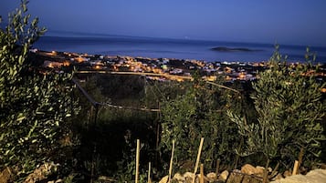 A coastal town at dusk with a view of the sea and a distant island.