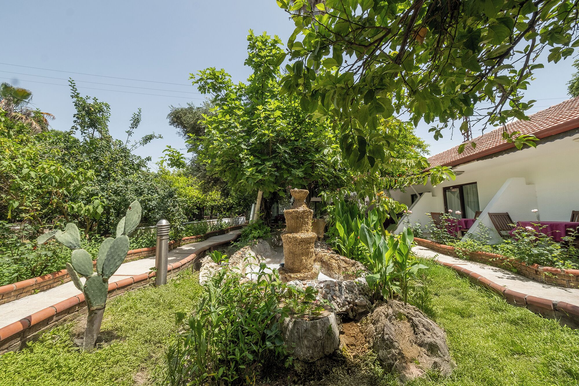 Jardim