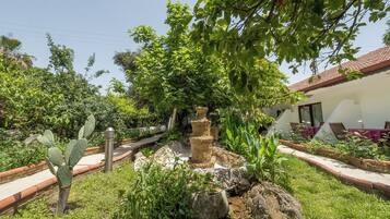 Jardim